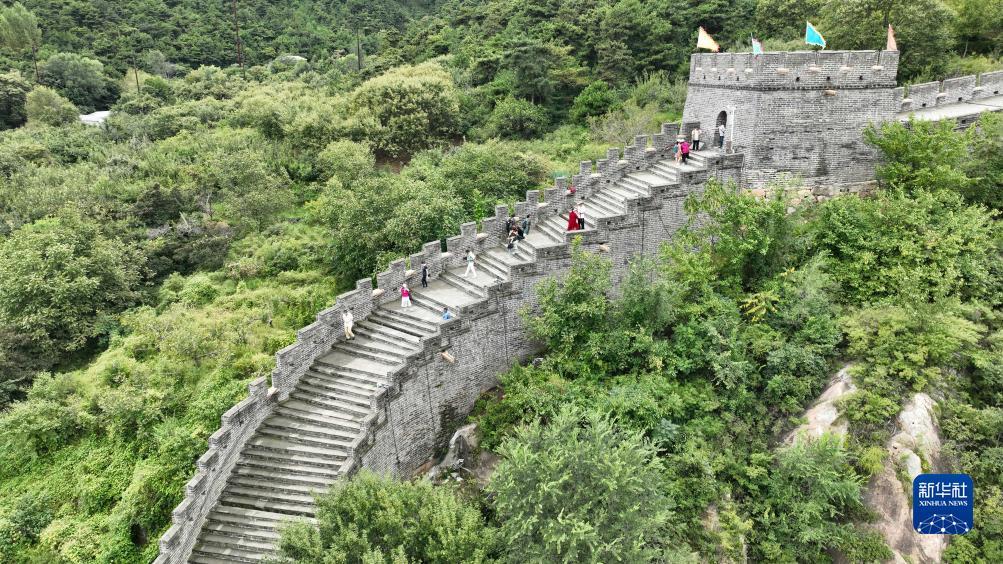 新京葡萄网